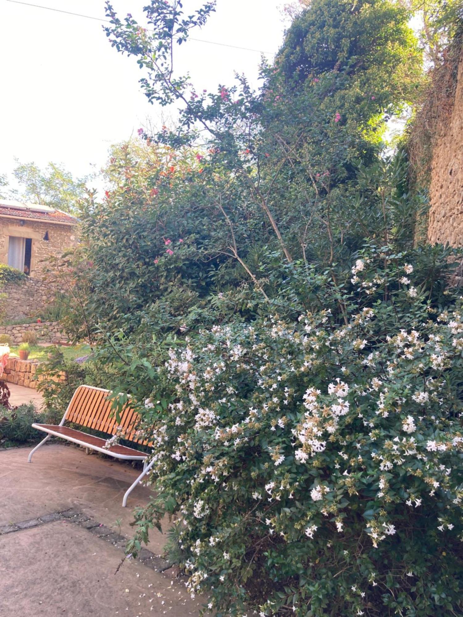 Domaine De Pipangaille Andancette Exterior foto